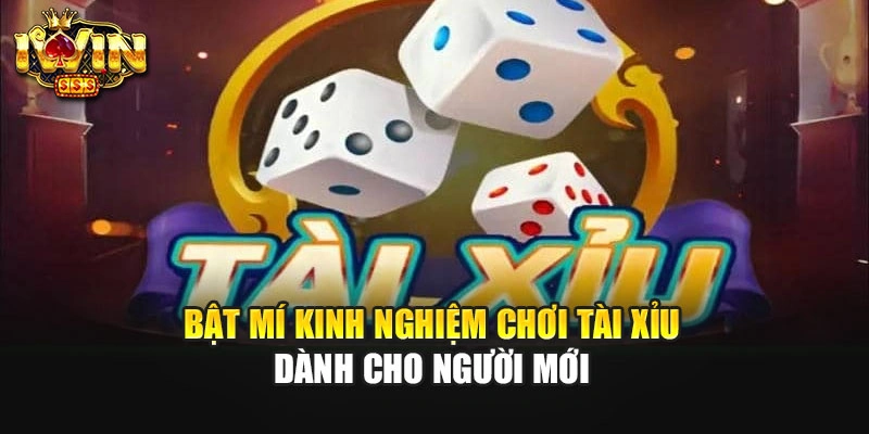 Bật mí kinh nghiệm chơi tài xỉu dành cho người mới