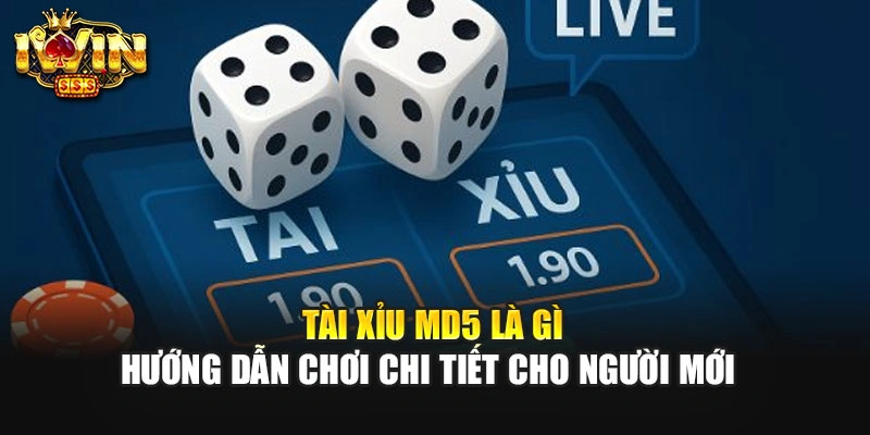 Tài Xỉu MD5 Là Gì - Hướng Dẫn Chơi Chi Tiết Cho Người Mới 