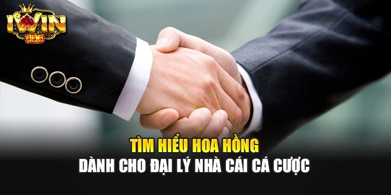 Tìm hiểu hoa hồng dành cho đại lý nhà cái cá cược